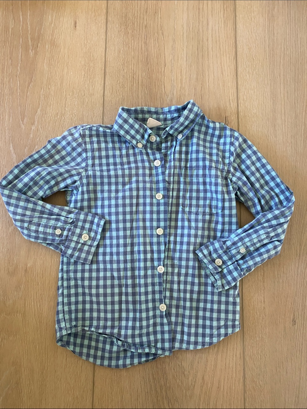 GAP Blue and Green Check Button-Down Shirt